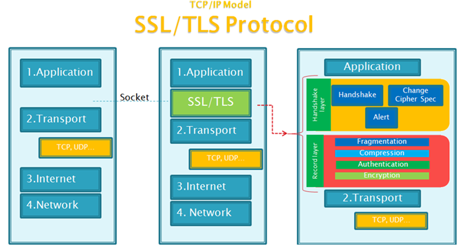 SSL/TLS的網(wǎng)絡體系結(jié)構(gòu)模型